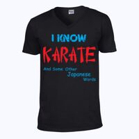 Softstyle™ v-neck t-shirt Thumbnail