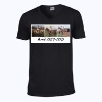 Softstyle™ v-neck t-shirt Thumbnail