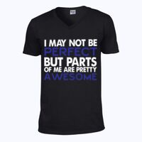 Softstyle™ v-neck t-shirt Thumbnail