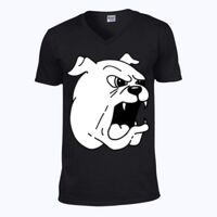 Softstyle™ v-neck t-shirt Thumbnail