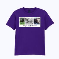 Softstyle™ youth ringspun t-shirt Thumbnail