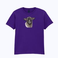 Softstyle™ youth ringspun t-shirt Thumbnail