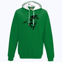 Varsity hoodie Thumbnail