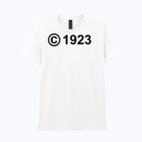 Heavy Cotton™ women's t-shirt Thumbnail