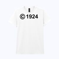 Heavy Cotton™ women's t-shirt Thumbnail