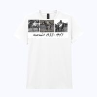 Heavy Cotton™ women's t-shirt Thumbnail