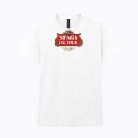 Heavy Cotton™ women's t-shirt Thumbnail