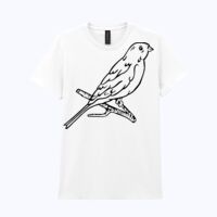 Heavy Cotton™ women's t-shirt Thumbnail