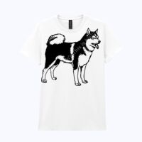 Heavy Cotton™ women's t-shirt Thumbnail