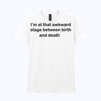 Heavy Cotton™ women's t-shirt Thumbnail