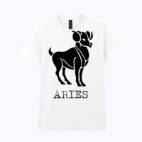 Heavy Cotton™ women's t-shirt Thumbnail