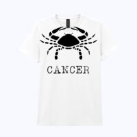 Heavy Cotton™ women's t-shirt Thumbnail