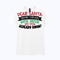 Heavy Cotton™ women's t-shirt Thumbnail